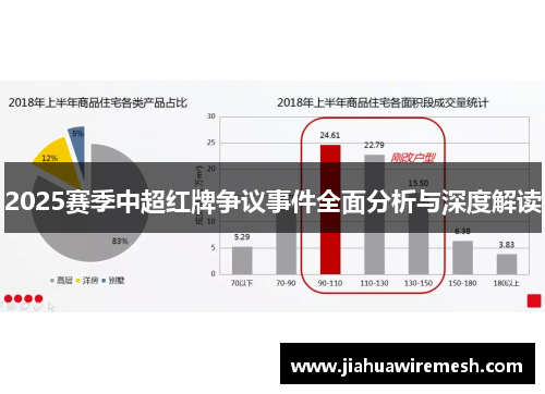 2025赛季中超红牌争议事件全面分析与深度解读