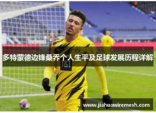 多特蒙德边锋桑乔个人生平及足球发展历程详解