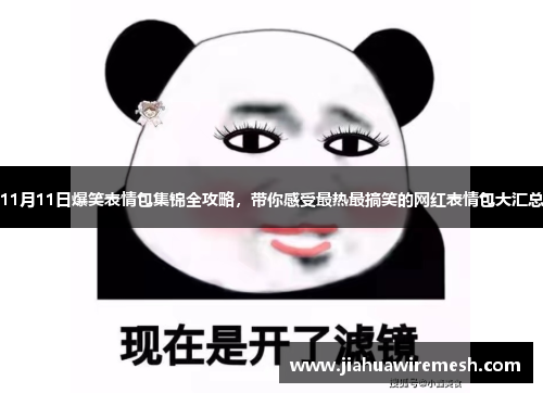 11月11日爆笑表情包集锦全攻略，带你感受最热最搞笑的网红表情包大汇总