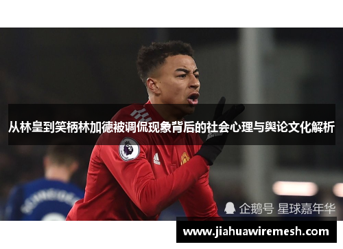 从林皇到笑柄林加德被调侃现象背后的社会心理与舆论文化解析